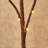Lighted Birch Branches 100 LED With Timer Battery Operated, Artificial Tree Branch With Warm,Willow Branch Lights For Home Bedroom Fireplace Christmas Holiday Decoration-183177984