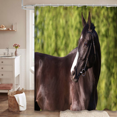 Beautiful Brown Horse Years Old Portrait Shower Curtain with 12 Hooks