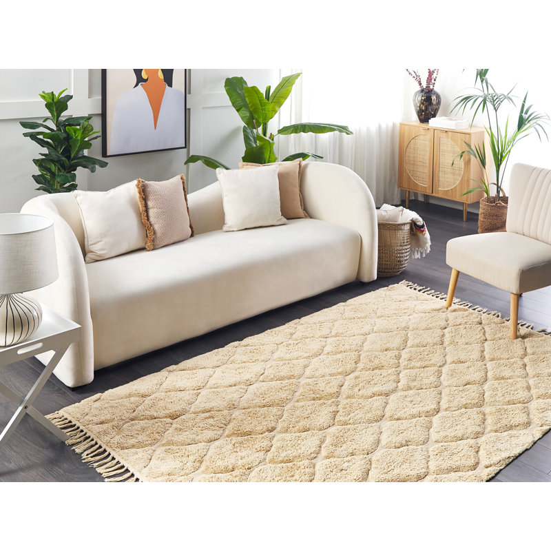Rourke Geometric Cotton Hand Woven Area Rug, Rectangle 160 x 230cm