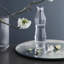 Perfection Glass Carafe
