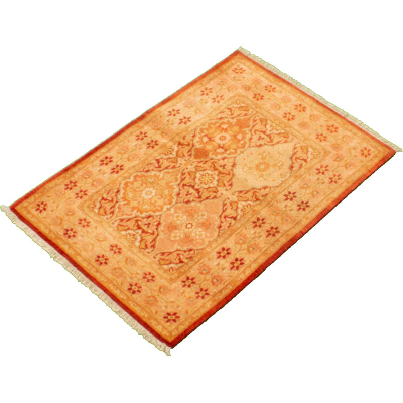 Tapis décoratif en laine noué à la main de conception unique noué à la main new age de style perse paktoré/saumon 3 pi 2 po x 4 pi 6 po