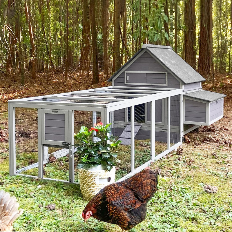 Chanille 20.73 Square Feet Chicken Run For Up To 2 Chickens