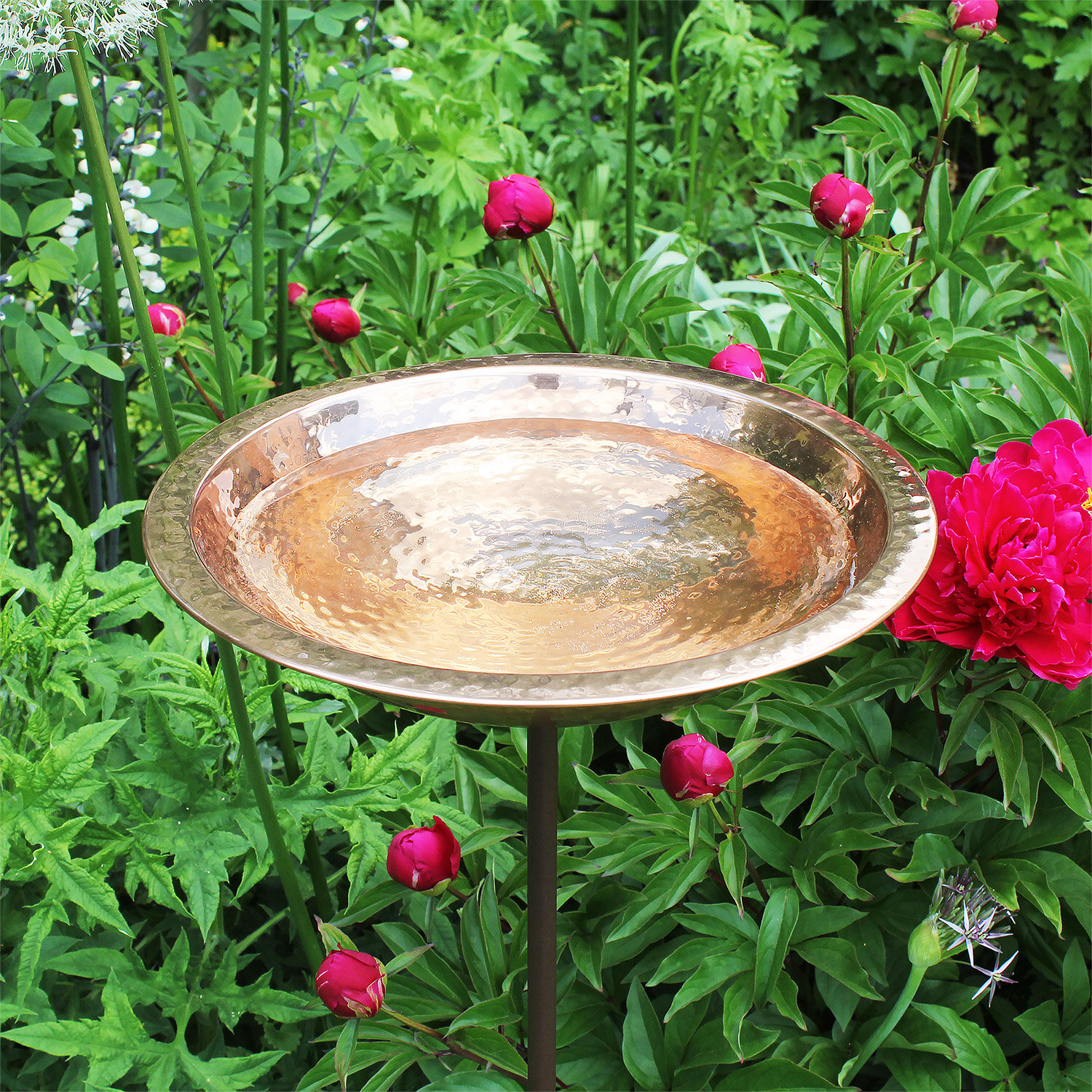 Large - Reptile Water Bowl | Stone Birdbath