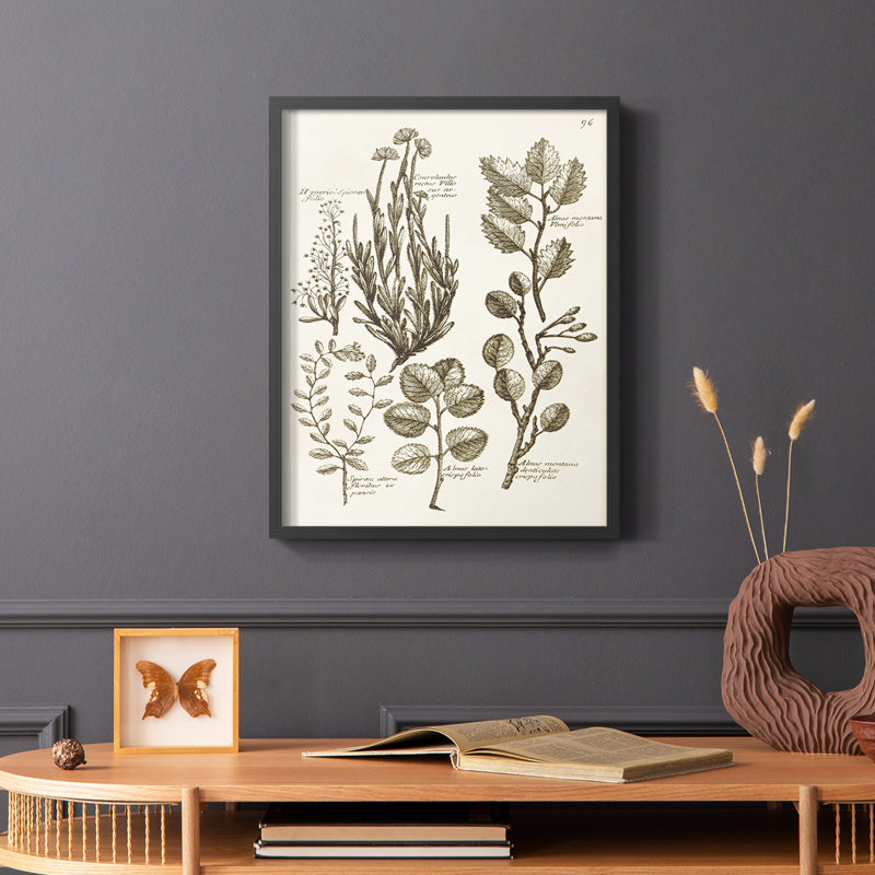 Sepia Botanical Journal VIII Framed Print - Solid Wood, Black, 20" H x 16" W