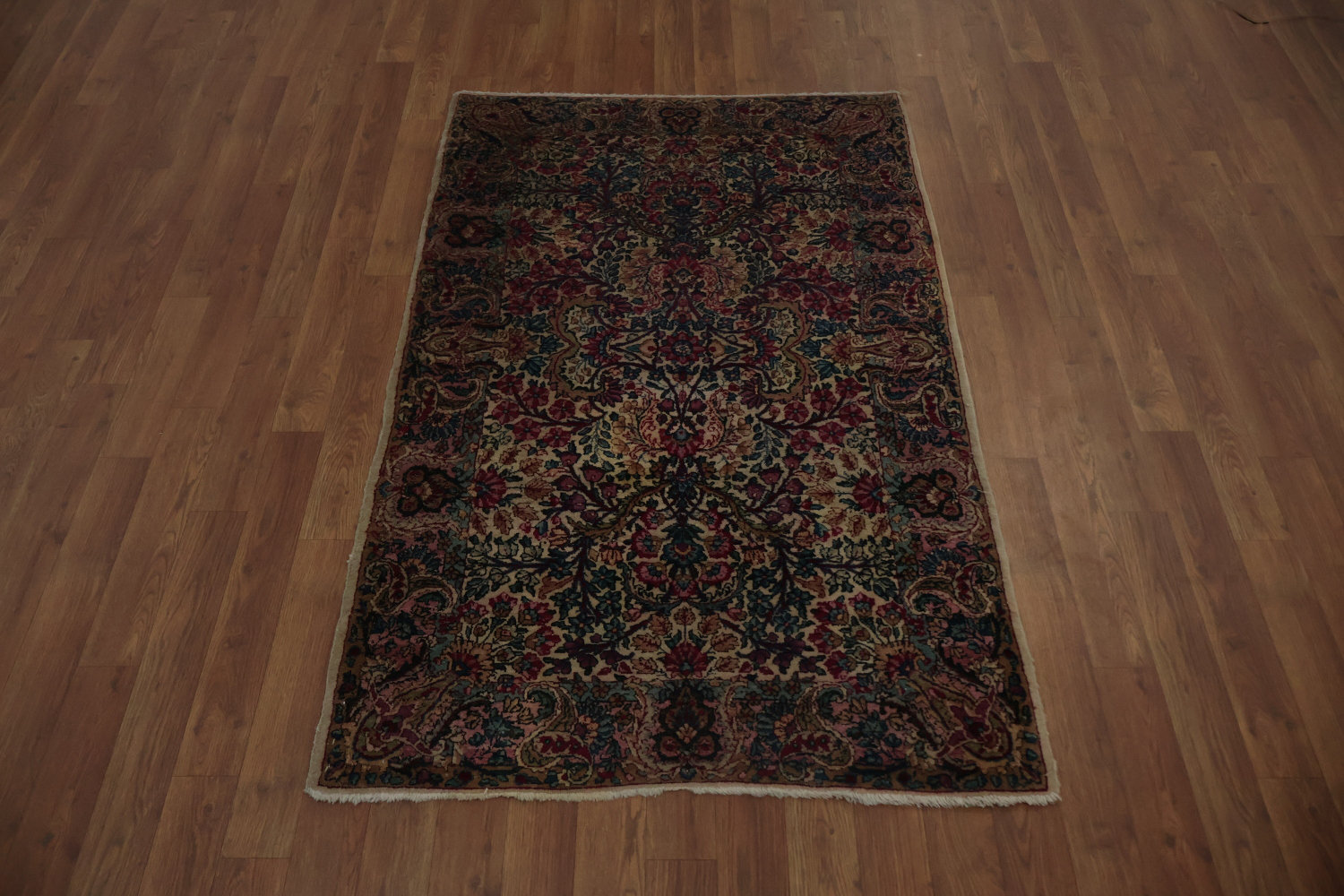 Astoria Grand Stunning Collectible Traditional Rug 3x5 | Wayfair