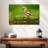 Finch