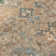 Machine Washable Indoor/Outdoor Matteson ACN2320 Global Rug