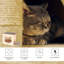 Cat Perch 102 H