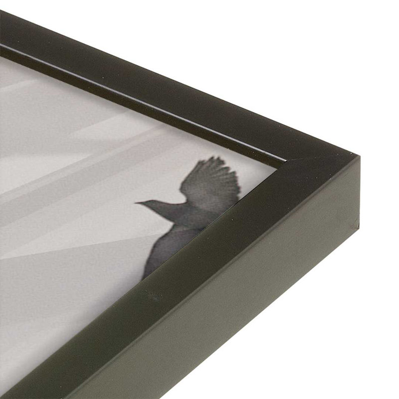 «Flock I» par Nathan Larson, reproduction d'art, H 12 po x l 18 po, Noir
