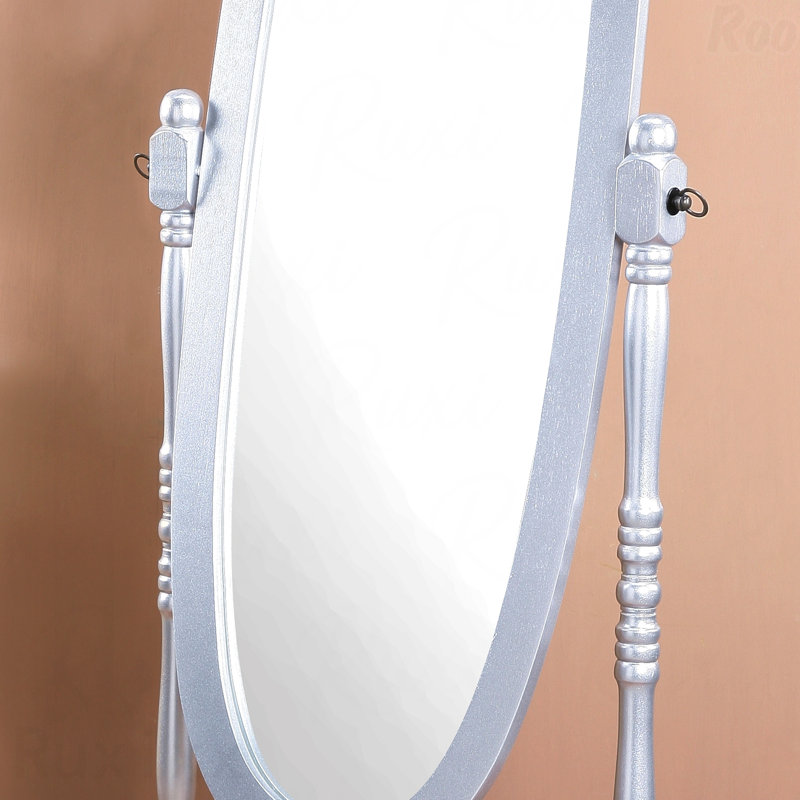Miroir d'appoint Traditional, 59,25 po x 22,5 po, Argent argent