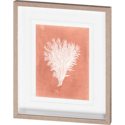 Sealife on Coral III by Vision Studio Hand Embelished Textured Framed Art Print Matted under Glass