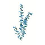 Eucalyptus Leaves I Giclee Print by Barclay Butera