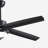 Lecole 52'' Ceiling Fan with LED Lights-1933106