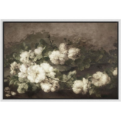 Vintage Floral Patterns " Elegant Cotton Bloom Serene White Floral Illustrations Rustic French Country "
