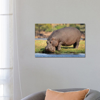 Hippopotamus Botswana by Mogens Trolle - Wrapped Canvas Print