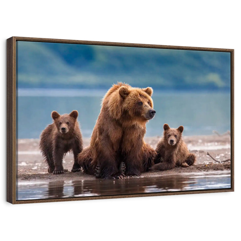 Famille d'ours Kamthatka, Cadre flottant noyer, 40 po x 27 po