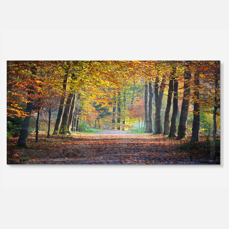Large sentier dans la forêt d'automne jaune - reproduction de photo, H 12 po x l 28 po x P 2 po, Sans cadre