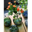 Ensemble de 3 vases en verre et centres de table en verre-2083627887