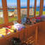 Sun Pent Potting Shed-124066161