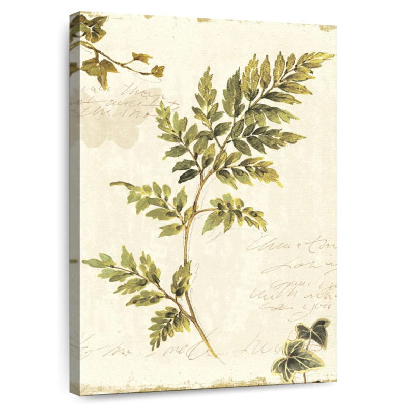 Harnek Ivies and Ferns II No Dragonfly, H 48 po x l 32 po