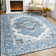 Vintage Look Shag Area Rug