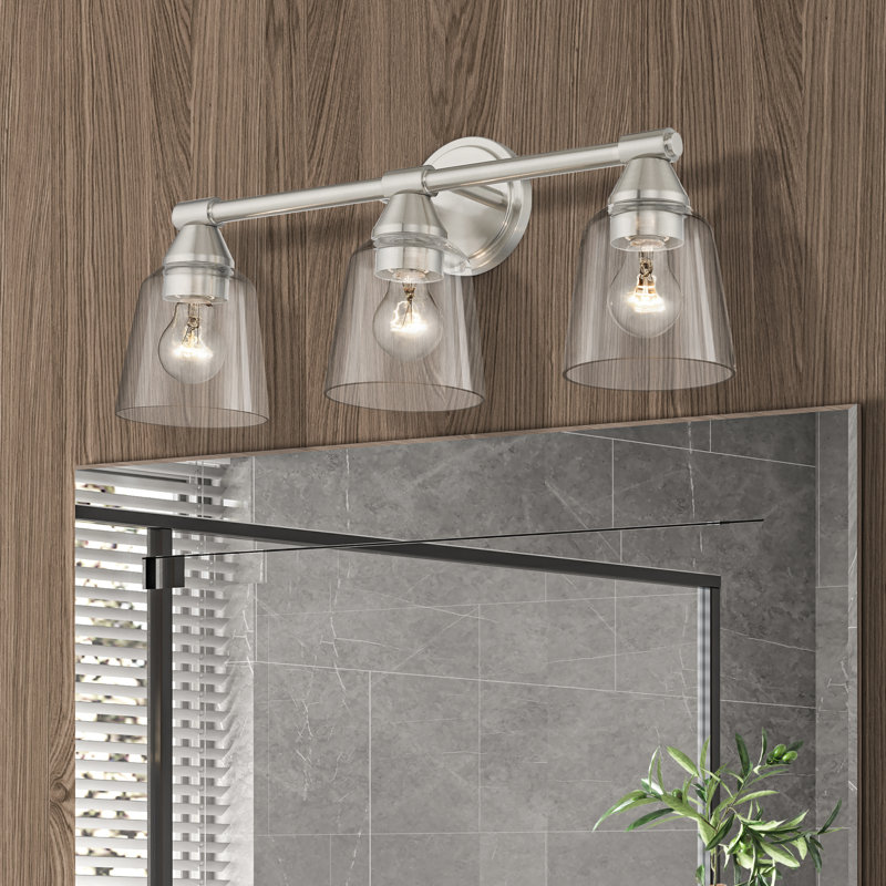 Bednar 3-Light Dimmable Vanity Light, Brushed Nickel