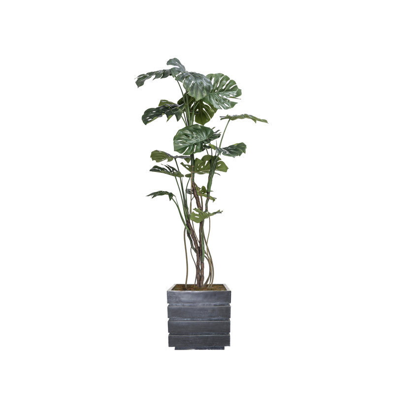 Plante artificielle 77 po Monstera, Gris