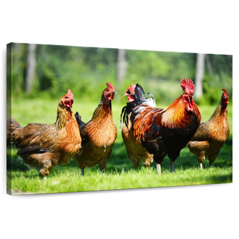 Outdoor Chickens, 26" H x 39" W