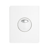 Skate Surf Wall Plate for AV1