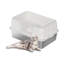 Litter Box-1657129073-1657129079