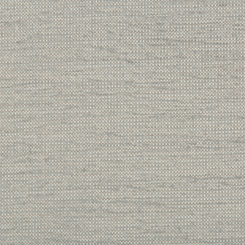 Guaranteed in Stock Fabric, Moonstone