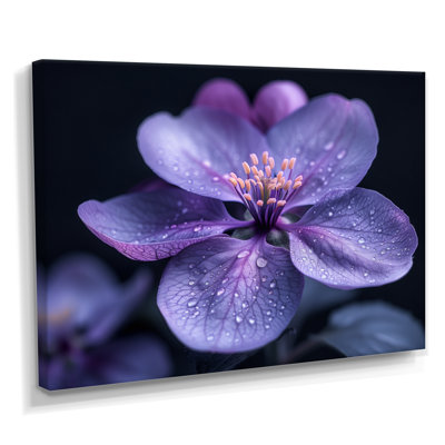 Mauve noir Moody Majesty, fleur de pommier