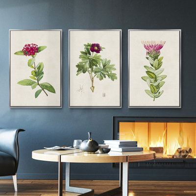 «Pretty Pink Botanicals II», ensemble de 3 toiles encadrées