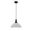 Aarika 1 - Light Dome Pendant-2034830913