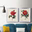 Impression de cadre photo sur papier-116162660-116166501