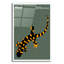 "State Posters IL" par Print Collection-646170707