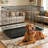 Foldable Metal Dog Cage with Plastic Tray