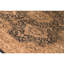 Hand Knotted Silk Area Rug in Black And Light Gold
