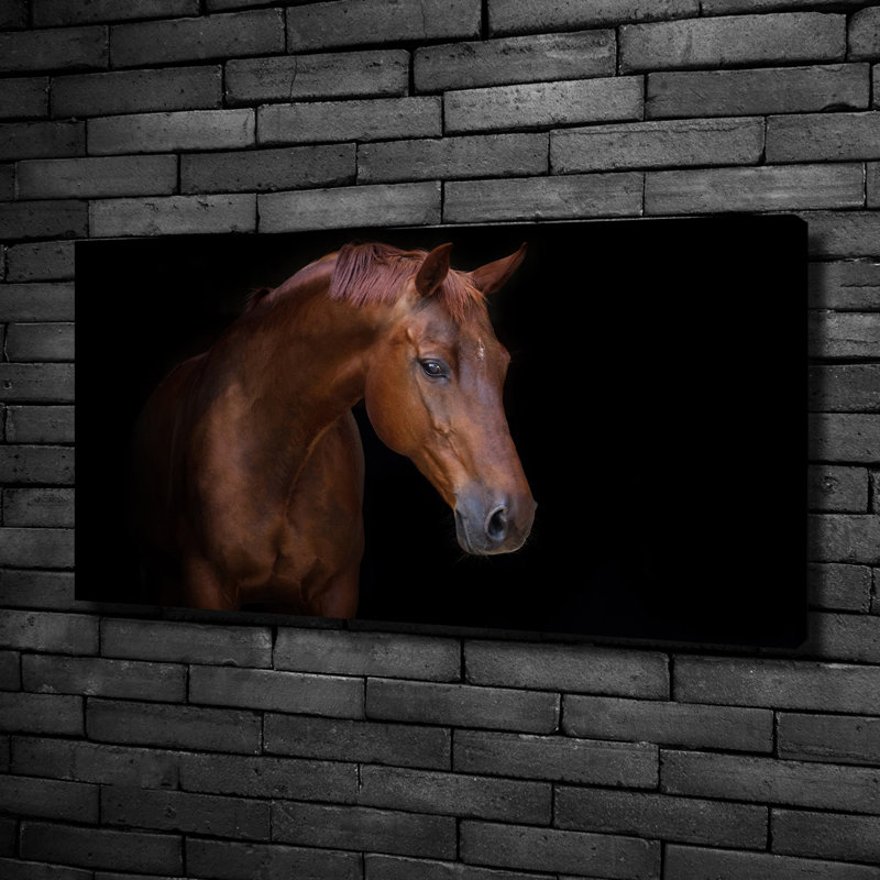 Brown Horse - Wrapped Canvas Print