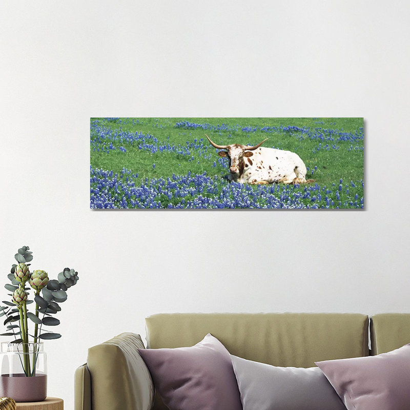 Texas Longhorn Cow Sitting On A Fieldhill County, Texas, USA by Panoramic Images - Wrapped Canvas Print
