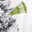 Boutures d'arbres de Noël-586502929