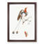 Bird Of Paradise And Butterfly by Johan Teyler - Single Picture Frame Painting-55457098-55457101