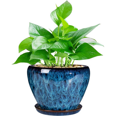 Ceramic Modern Glaze Succulent Planter Pot With Drainage Hole And Saucer  Round Flower Plant Pot For Indoor Outdoor Herb Snake Plants