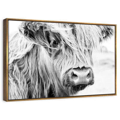 Long Haired Cow