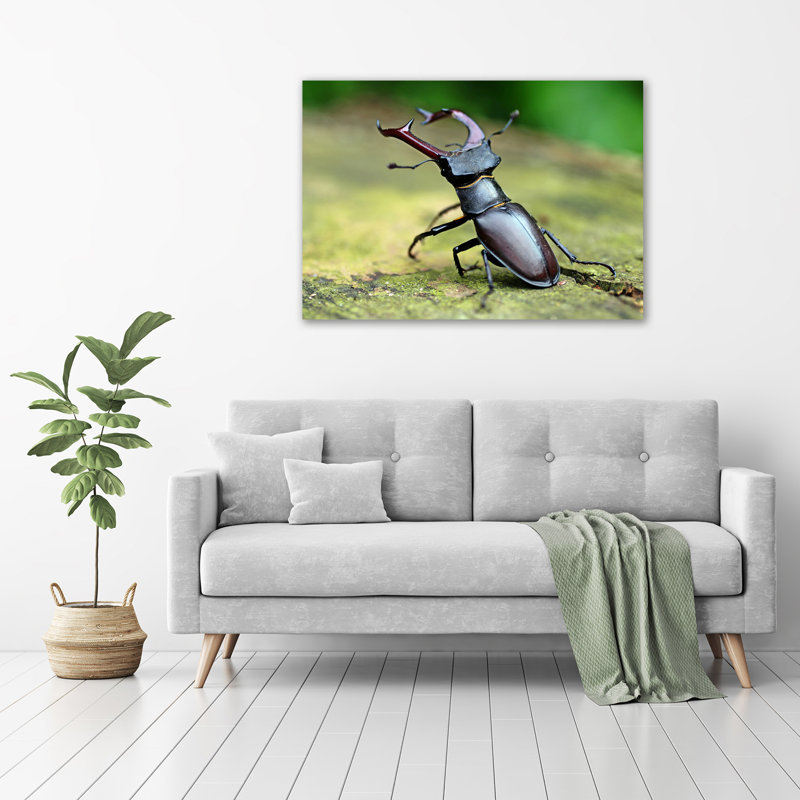 Beetle - Wrapped Canvas Print