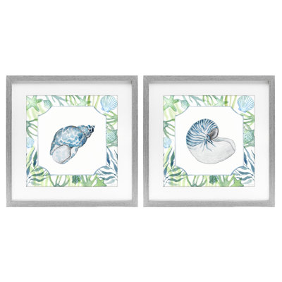 Ensemble de 2 impressions encadrées sous verre Seaweed Borded Seashells, par Janet Tava