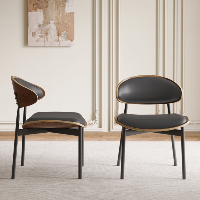 Cathelijn 2-piece Dining Chair Set, Black