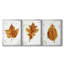 Autumn Leaf Study I - Toile tendue avec châssis sur mesure - 3 pièces-1630811662-1630811663