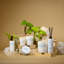 Bougie en cire d'abricot naturel-111113083