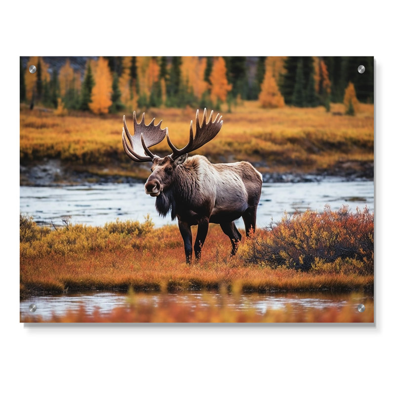 Orignal en Alaska, paysage I - art mural acrylique en Alaska, H 16 po x l 32 po